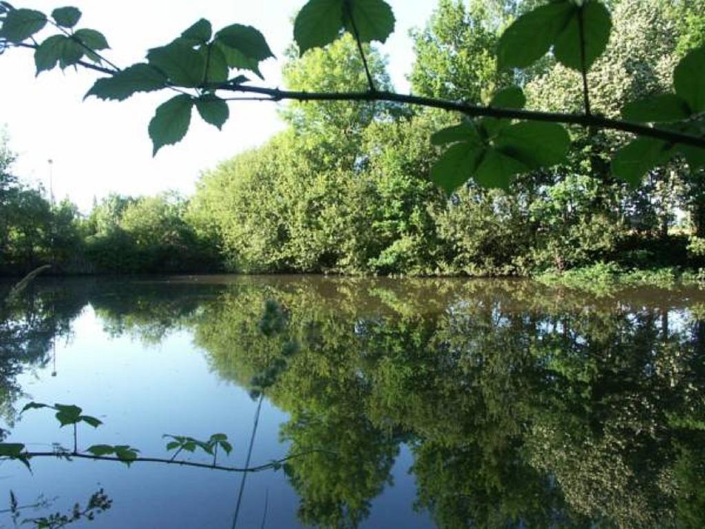 Le Verger Du Domaine Les Achards (Vendee) Quarto foto