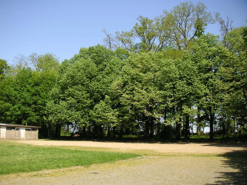 Le Verger Du Domaine Les Achards (Vendee) Quarto foto